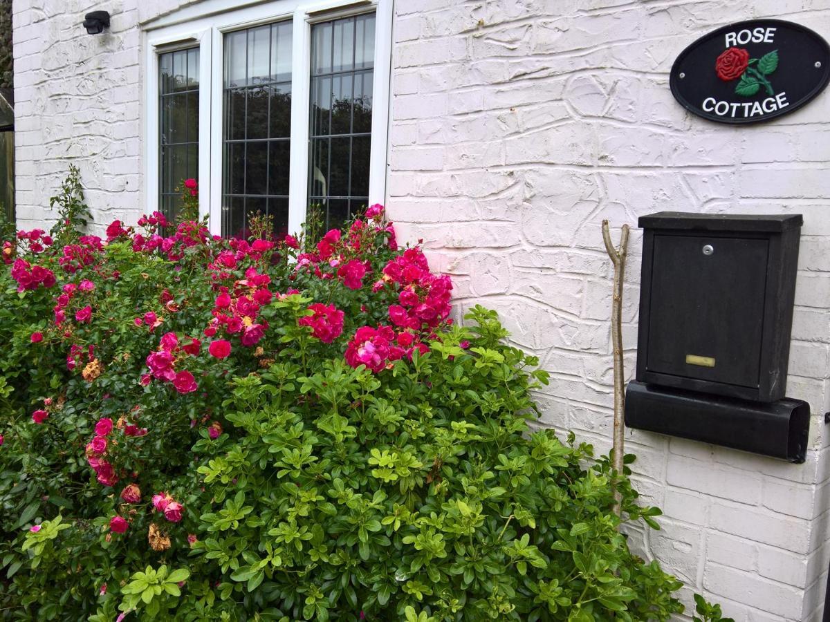 Rose Cottage Chard Exterior foto